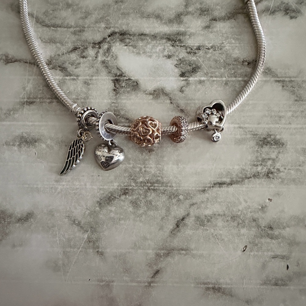 Pandora Charms